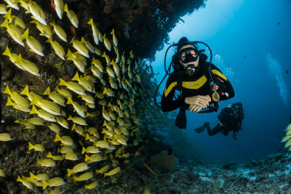 Zero to Hero diver progression in tropical waters